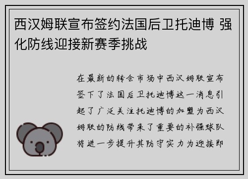 西汉姆联宣布签约法国后卫托迪博 强化防线迎接新赛季挑战