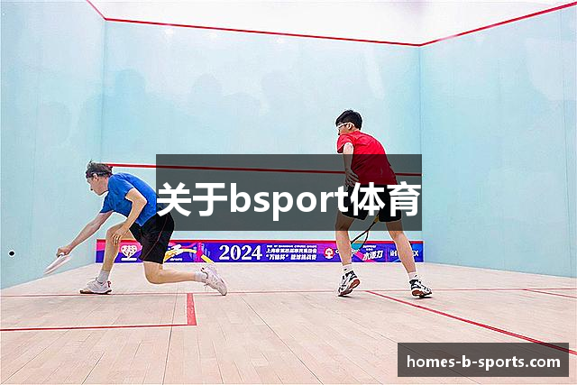 关于bsport体育